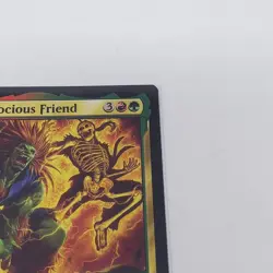 Blanka, Ferocious Friend - 431 MTG Secret Lair - Normal NM - Image 3