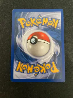 Ursaring 110/144 Skyridge Regular Pokemon TCG - LP - Image 2