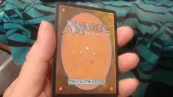 ESSENCE OF THE WILD MTG - Image 2