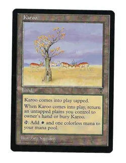 Karoo - Vision - Magic The Gathering NM/M (Never Played) - Image 1