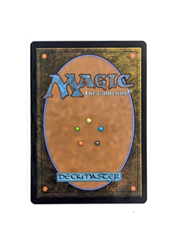 Mirrorpool M 0027 Borderless REGULAR MTG Edge Of Eternities EOS EN NM/M - Image 2