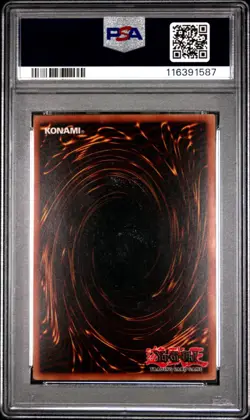 PSA 8 1ST EDITION LOB-066 Curse of Dragon Super Rare Yugioh ENGLISH - Image 2