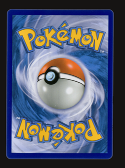 Pokemon TCG Wartortle Team Up Sun & Moon SM 24 Reverse Holo LP Card - Image 2