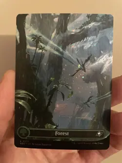 Forest #0371 EOE L (Borderless) (GALAXY FOIL) - MTG Edge of Eternities 2025 - Image 1