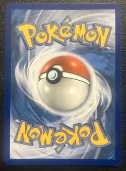 2019 Pokemon TCG Deoxys SM164 Black Star Promo Holo Card NM Near Mint - Image 2