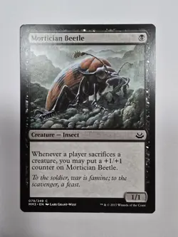 Mortician Beetle Modern Masters 2017 Regular Mtg Magic The Gathering - Image 1