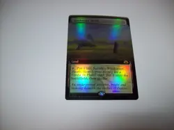 Windswept Heath #466 Foil Extended Art MH3 NM MTG Free Ship & Tracked - Image 1