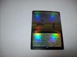 Windswept Heath #466 Foil Extended Art MH3 NM MTG Free Ship & Tracked - Image 2