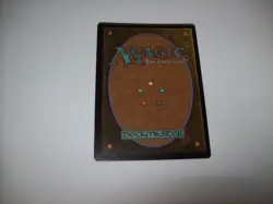 Windswept Heath #466 Foil Extended Art MH3 NM MTG Free Ship & Tracked - Image 3