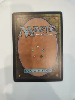 Verdant Catacombs - Zendikar - NM - English MTG - Image 4