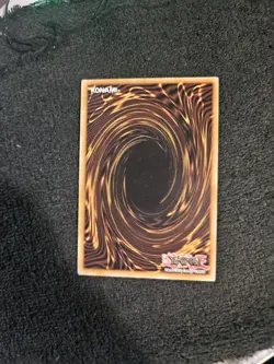 1X NM Harpie's Feather Duster - SDBT-EN026 - Common 1st Edition - yugioh - Image 2