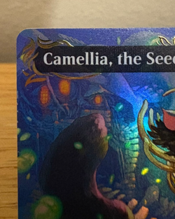 MTG Camellia, the Seedmiser 0346 Raised Foil Borderless Bloomburrow BLB Rare NM - Image 4