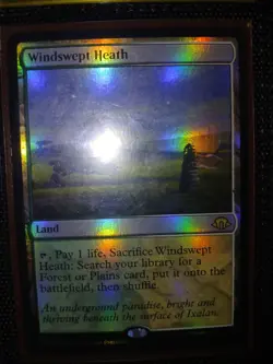 Mtg Foil Nm Windswept Heath Magic The Gathering - Image 1