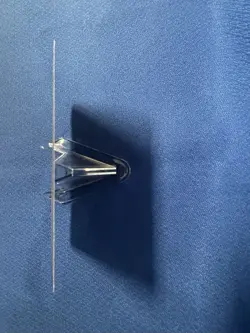 Boseiju, Who Endures Kamigawa: Neon Dynasty Regular - Image 5