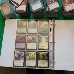 6 Pages of PAUPER Cards Collection in Binder with an extra 1000 Bulk MTG Lot - Image 5