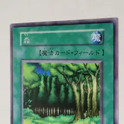 Yugioh Forest Starter Box No Ref Japanese Ocg Rare LP - Image 3