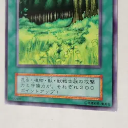 Yugioh Forest Starter Box No Ref Japanese Ocg Rare LP - Image 4