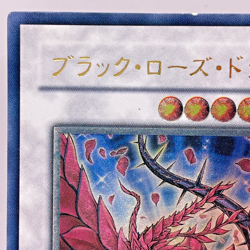 Yu-Gi-Oh! Duel Monsters Black Rose Dragon Ultimate Rare CSOC-JP039 Japanese - Image 3