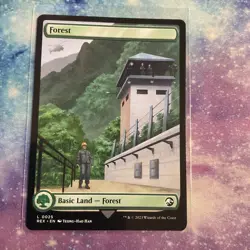 Forest (REGULAR) x1 - MTG Jurassic World Collection REX #25 - Image 1