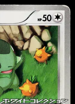 AXEW 006/BW-P BLACK & WHITE PROMOS JAPANESE POKEMON TCG - Image 3
