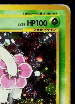 MEGANIUM No.154 NEO PREMIUM FILE 1 JAPANESE POKEMON TCG - Image 3