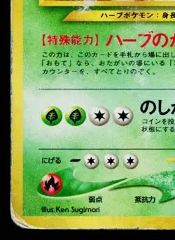 MEGANIUM No.154 NEO PREMIUM FILE 1 JAPANESE POKEMON TCG - Image 4