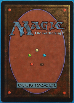 Veteran Bodyguard Unlimited NM (Reserved List MTG Magic Card) (499656) ABUGames - Image 2