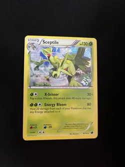 Sceptile 8/116 MINT/NM Holo Rare Pokemon Cards Vintage - Image 1