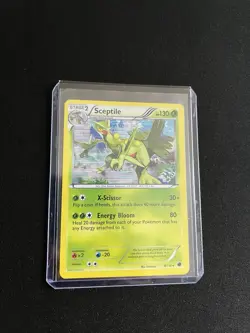Sceptile 8/116 MINT/NM Holo Rare Pokemon Cards Vintage - Image 4