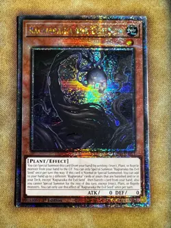 Yugioh Ragnaraika the Evil Seed LEDE-EN013 Quarter Century Secret 1st Ed NM - Image 1