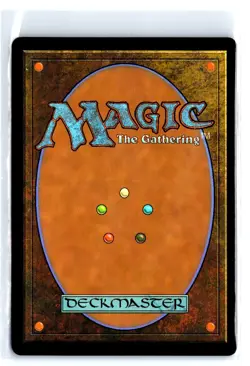 FOIL Evolving Wilds Wilds of Eldraine Common - MTG Magic the Gathering Card - Image 2