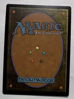 Sunlit Marsh (Surge Foil) #431 (NM) Final Fantasy FIC Magic MTG - Image 2