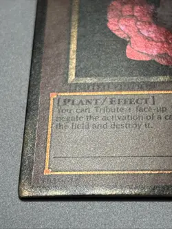 Tytannial, Princess of Camellias GLD4-EN026 Gold Series 4 Limited Gold Rare LP - Image 4