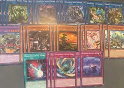 Yu-Gi-Oh! Complete Ragnaraika Deck Including Plant, Reptile and Insect Support! - Image 5