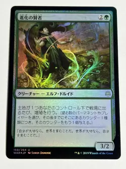 MTG - Evolution Sage FOIL - War of the Spark - Japanese - M/NM - Commander - EDH - Image 1