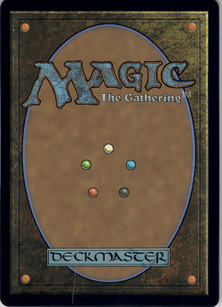 Banner of Kinship (Extended Art) [Foundations] (FDN) [MTG] Magic 484 - Image 2
