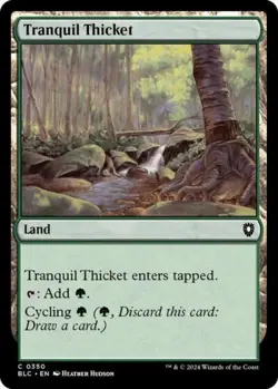 Tranquil Thicket - Light Play MTG Commander: Bloomburrow - Image 1