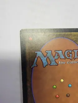 Bayou MTG Revised - Image 3