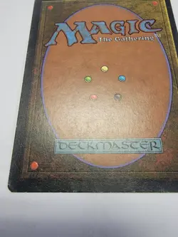 Bayou MTG Revised - Image 4