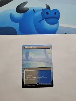 MTG - Adarkar Wastes (Borderless) Dominaria United Regular Rare #377 - Image 2