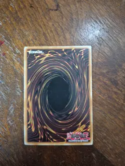 Spellbook Organization GLD5-EN041 Common Limited Edition NM Yugioh Free Shipping - Image 2