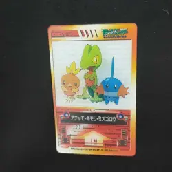 Kimori Achamo Mizugoro Pokemon 3D Card Advanced Generation Collectible - Image 2