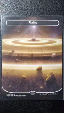 Plains Borderless 240/244 M PF MTG UNfinity Series - Image 1
