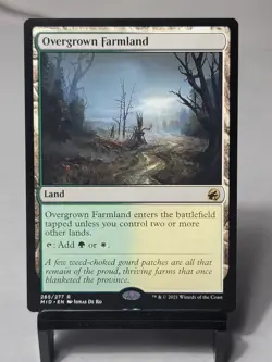 Magic the Gathering - Innistrad: Midnight Hunt - Overgrown Farmland - Image 1