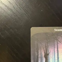 Swamp Land Regular MTG Unstable #214 LP - Image 2