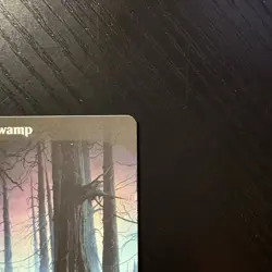 Swamp Land Regular MTG Unstable #214 LP - Image 3