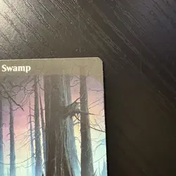 Swamp Land Regular MTG Unstable #214 LP - Image 3