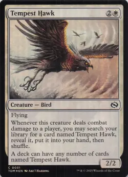 Tempest Hawk Tarkir Dragonstorm Foil #31 NM MTG - Image 1