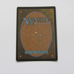 Path of Ancestry - magic the gathering mtg Extended Art Foil NM - Image 2