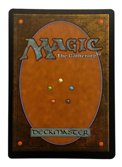 MTG Tim the Enchanter - Prodigal Sorcerer (Borderless Foil) | Monty Python SLD - Image 2